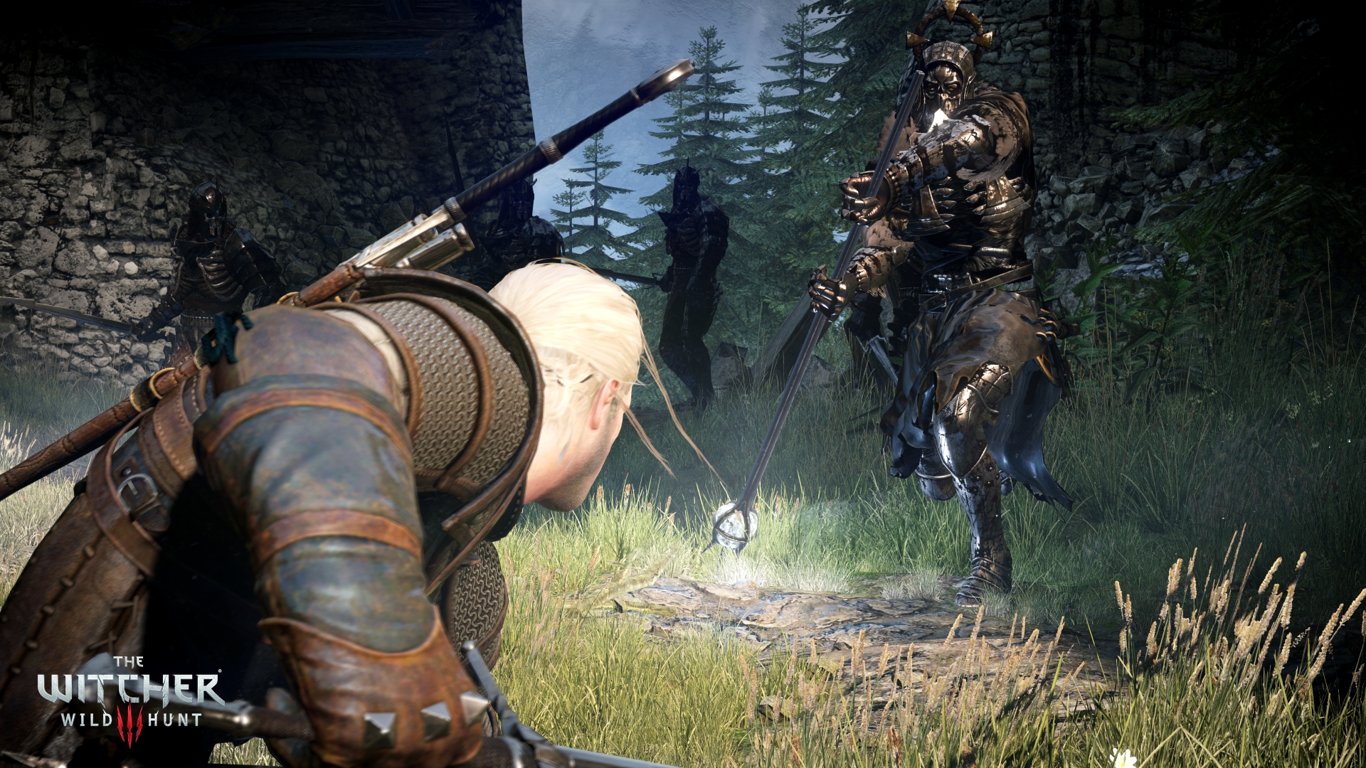 the-witcher-3-wild-hunt-5