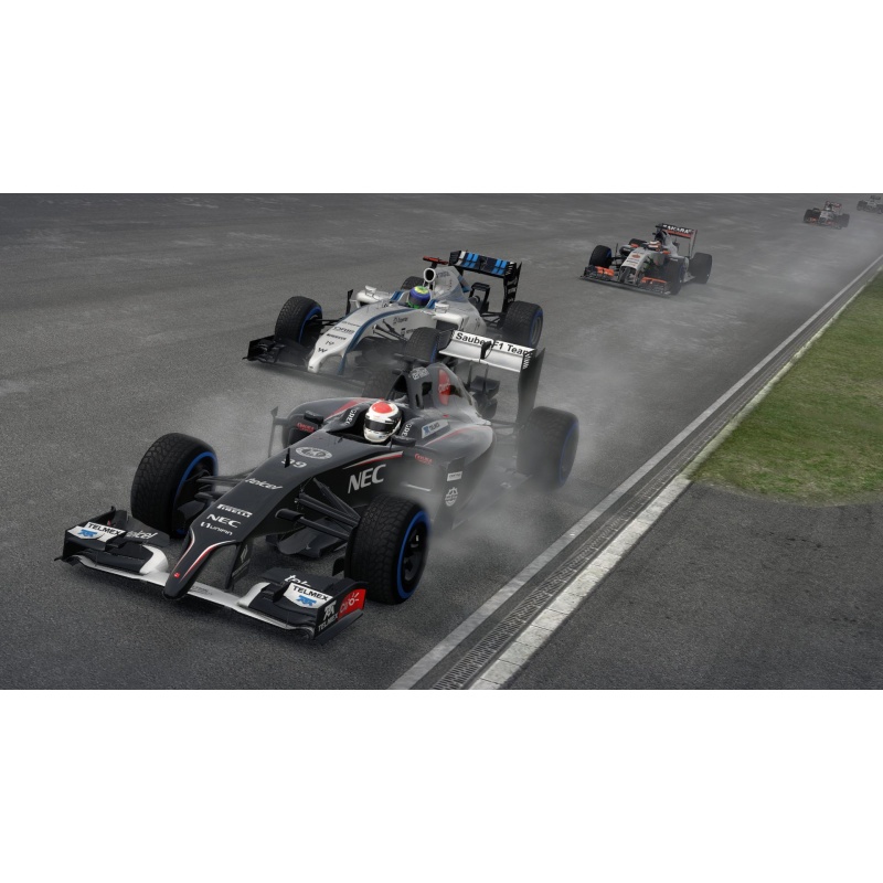 F1 2014 6