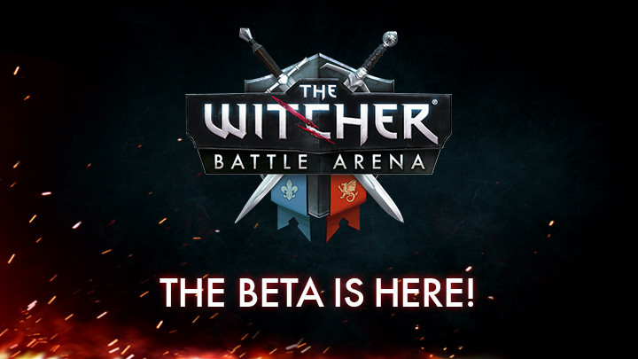 The witcher battle arena