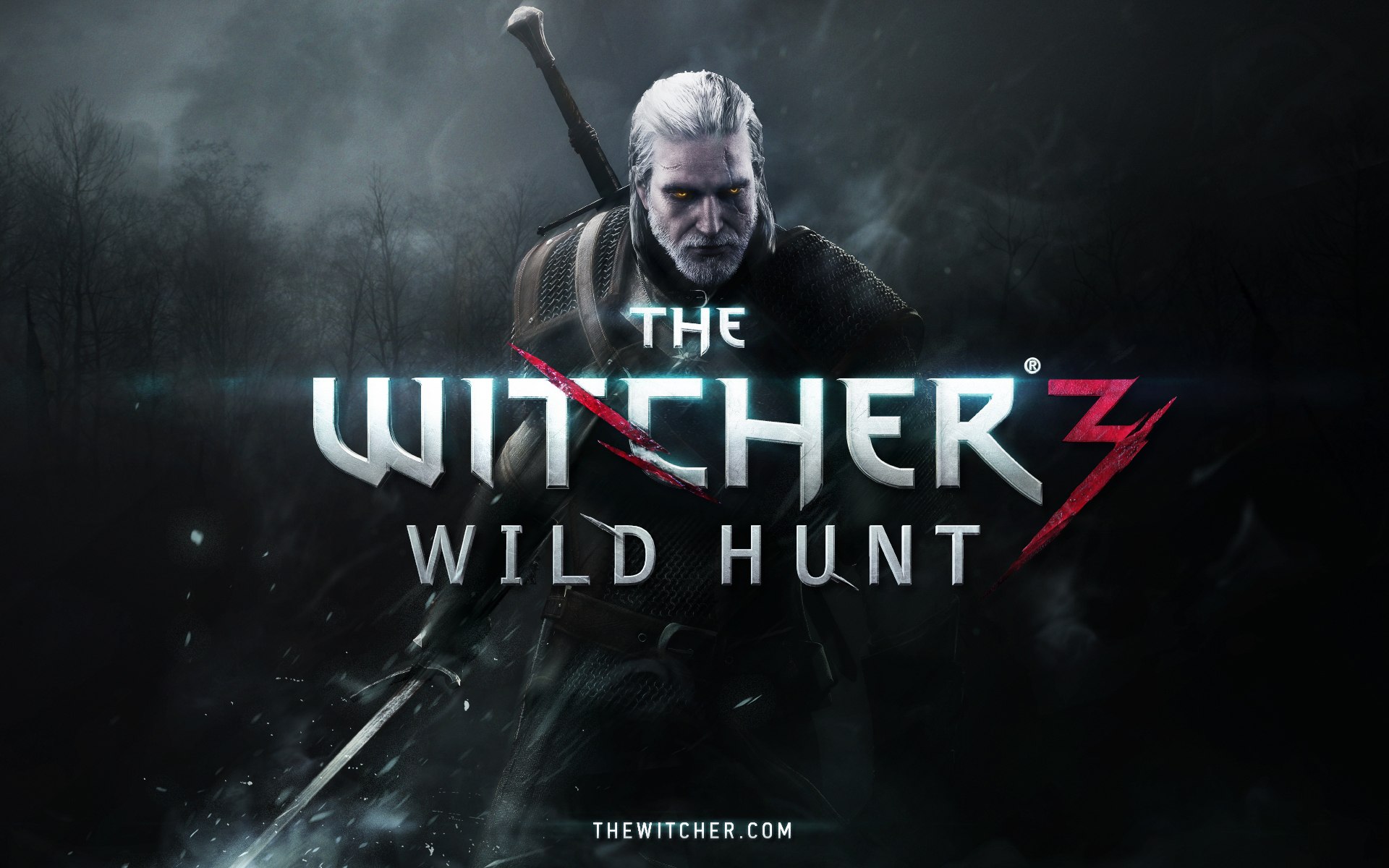 the-witcher-3-wild-hunt 0611