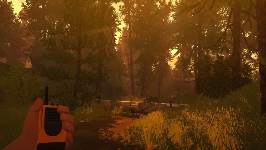 Firewatch-meadow-at-sunset