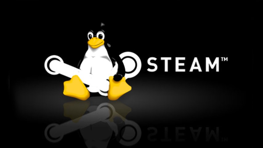 Steam-Linux