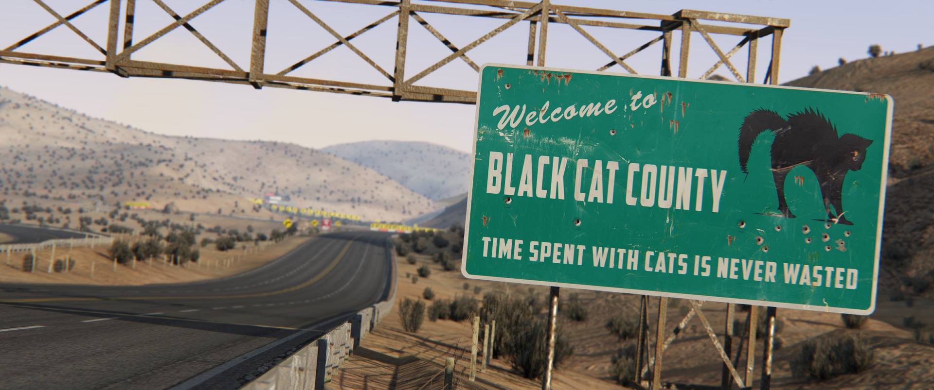 black-cat-county