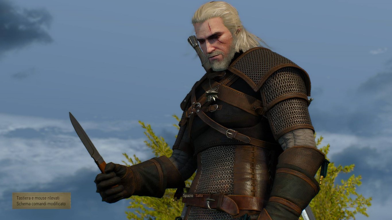 the witcher 3 screen 1
