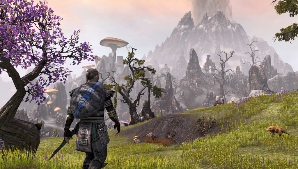 The Elder Scrolls Online, secondo alcuni dati avrebbe venduto oltre 770.000 copie