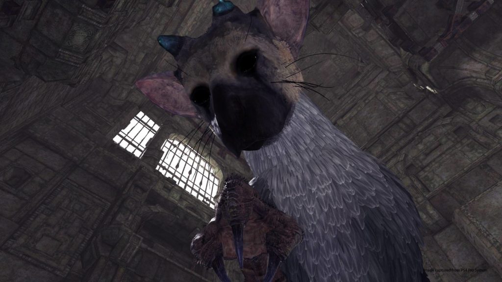 The Last Guardian, demo VR per la settimana prossima