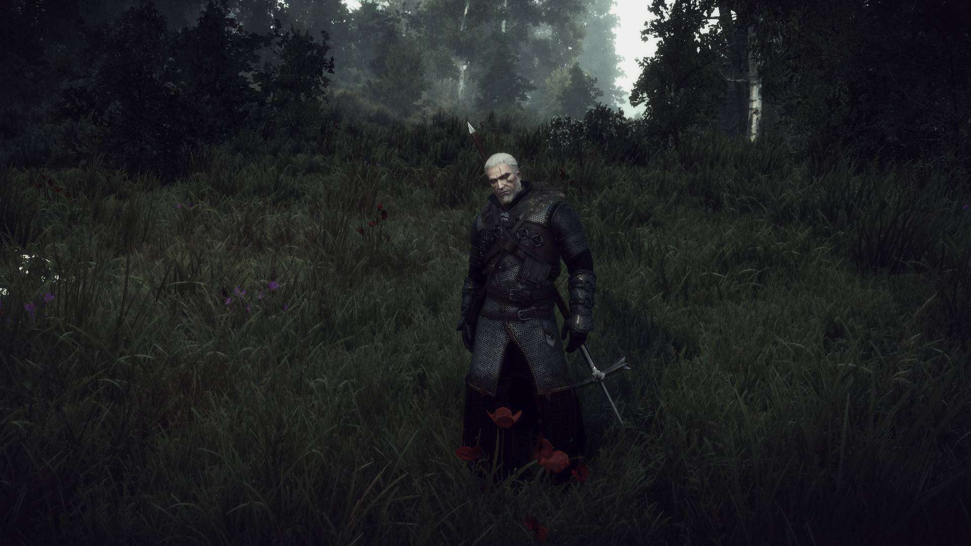 how to mod the witcher 3 2010