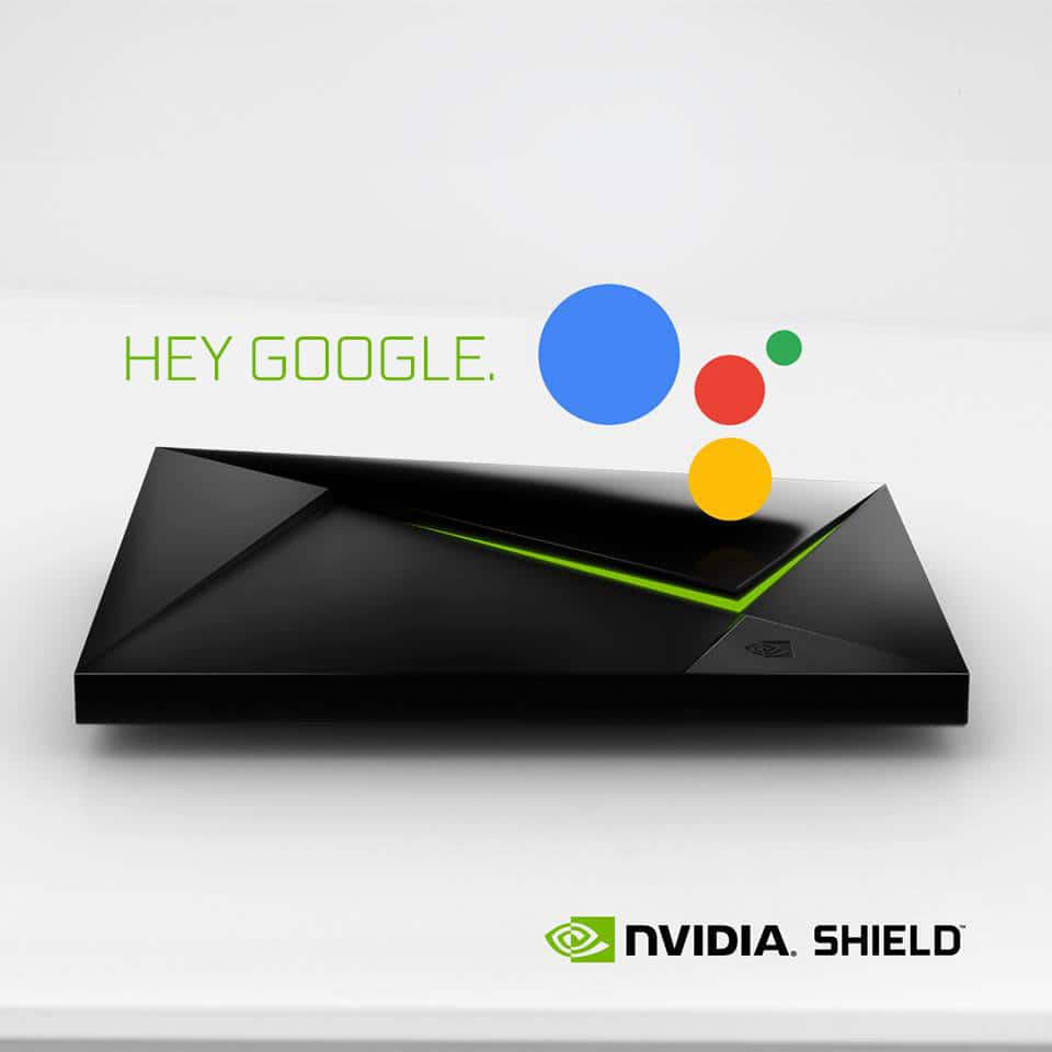 Google Assistant è arrivato su SHIELD