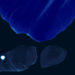 Another_World_Flashback_edizione_fisica