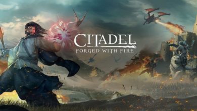 Citadel: Forged With Fire