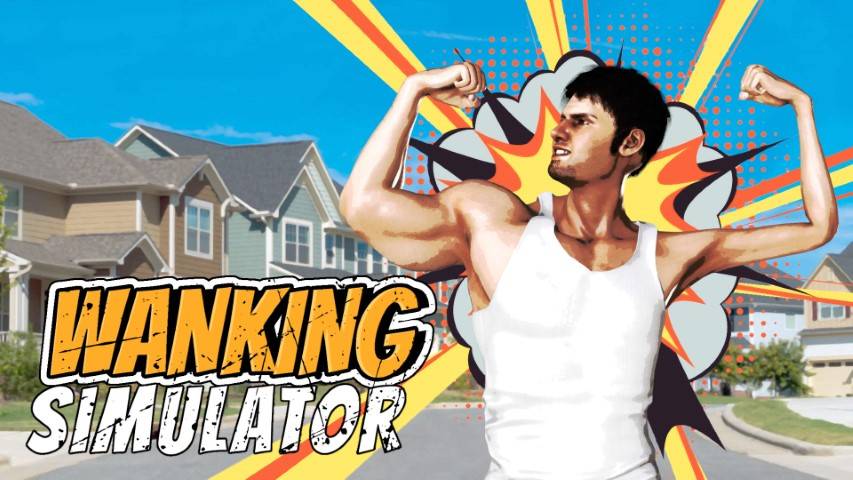 Wanking Simulator, Recensione sui generis