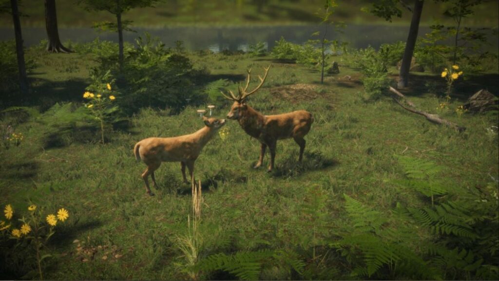Natural Instincts, al via la campagna su Kickstarter