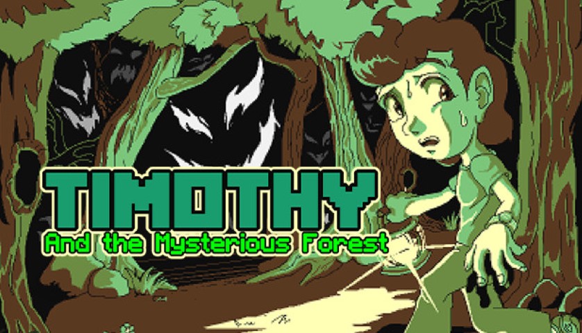 Timothy and the Mysterious Forest, Recensione Pc