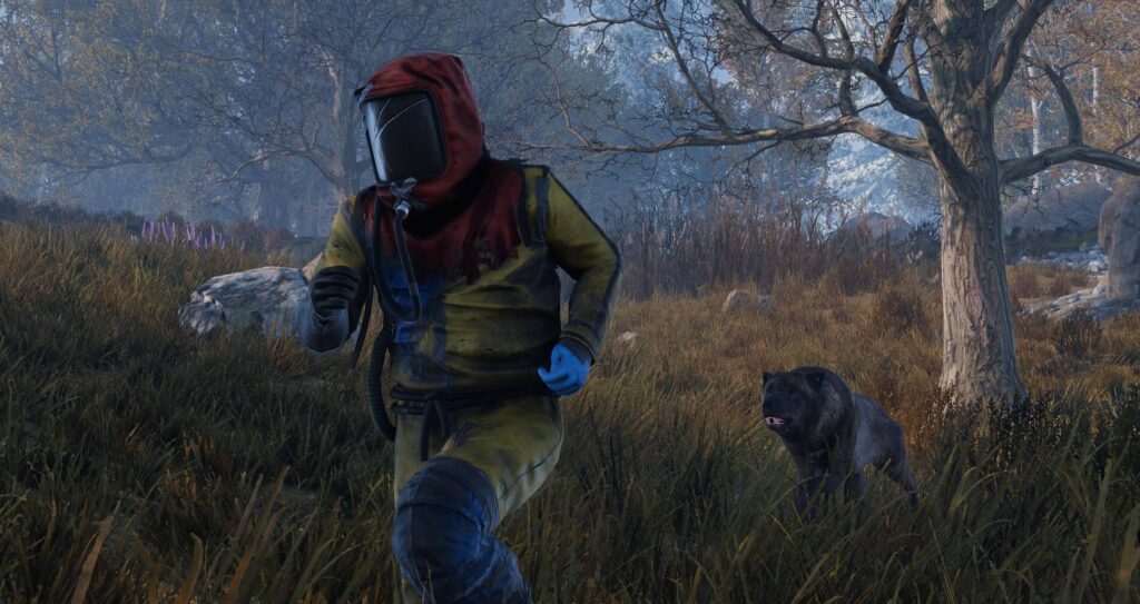 Rust, si mostra nuovamente con nuovi video