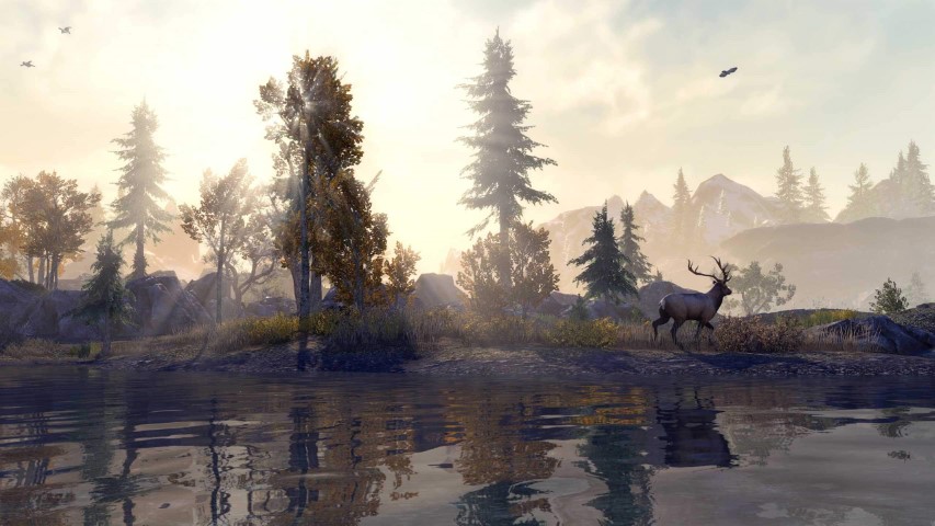 The Elder Scrolls Online debutta su PS5 ed Xbox Series X|S - IlVideogioco.com