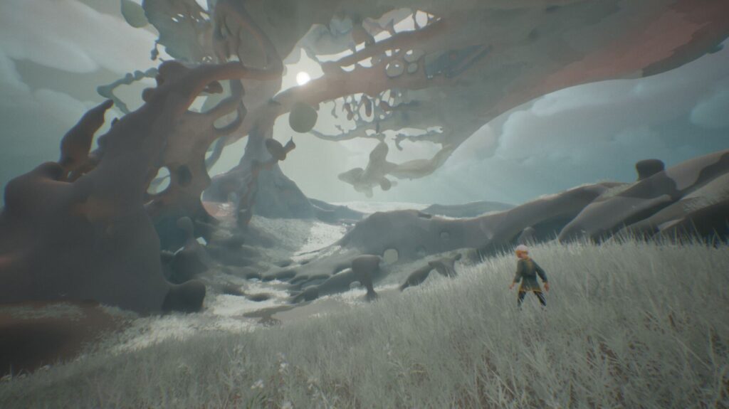 Chasing the Unseen, (video)anteprima