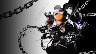 Bleach Rebirth of Souls
