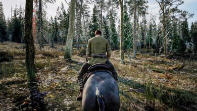 Tales of Old: Dominus