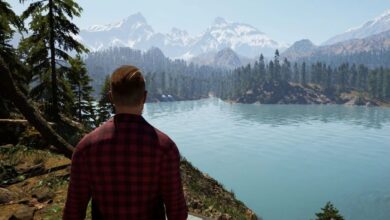 The Gold River Project