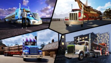 Truck Driver: The American Dream