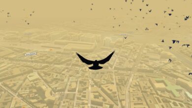 Pigeon: A Love Story