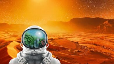 The Planet Crafter_PS5_0