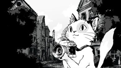 Cat Me If You Can